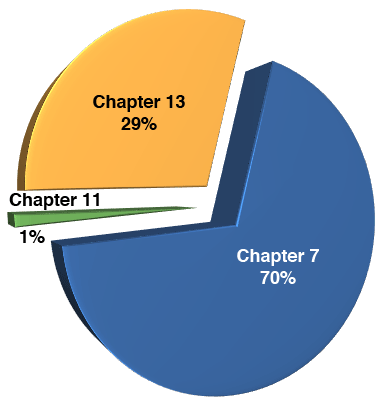 Percentages of chapter bankruptcy filings